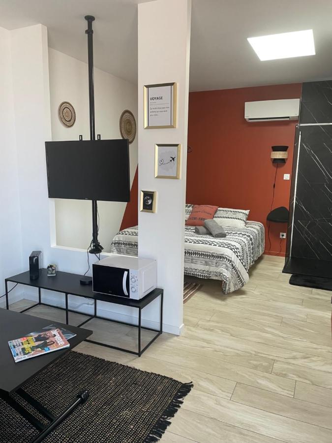 Studio Cosy Tt Confort Proche Aeroport Коломбье-Сонье Экстерьер фото