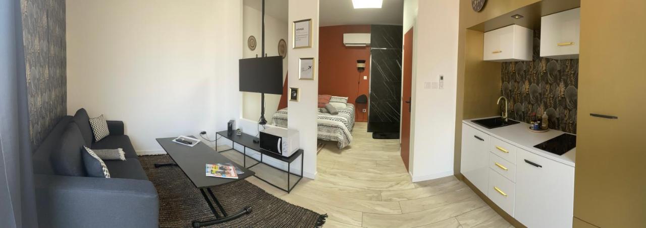 Studio Cosy Tt Confort Proche Aeroport Коломбье-Сонье Экстерьер фото